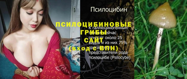 мдпв Заволжск