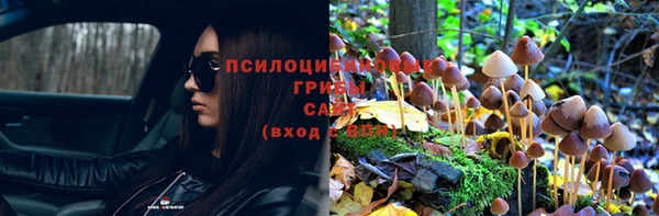 мдпв Заволжск