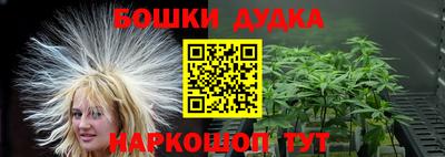 тгк Канаш