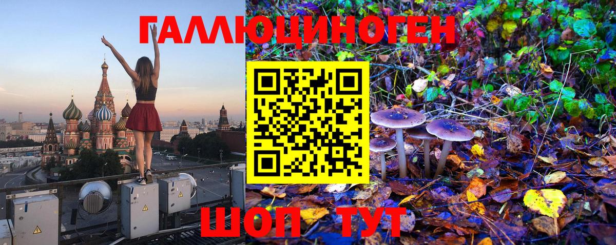 Псилоцибиновые грибы Cubensis  Псилоцибиновые грибы GOLDEN TEACHER  Владикавказ 