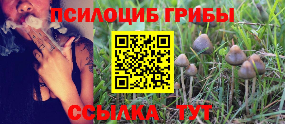 Псилоцибиновые грибы мицелий  Псилоцибиновые грибы Magic Shrooms  Вход с VPN  сколько стоит  Владикавказ 
