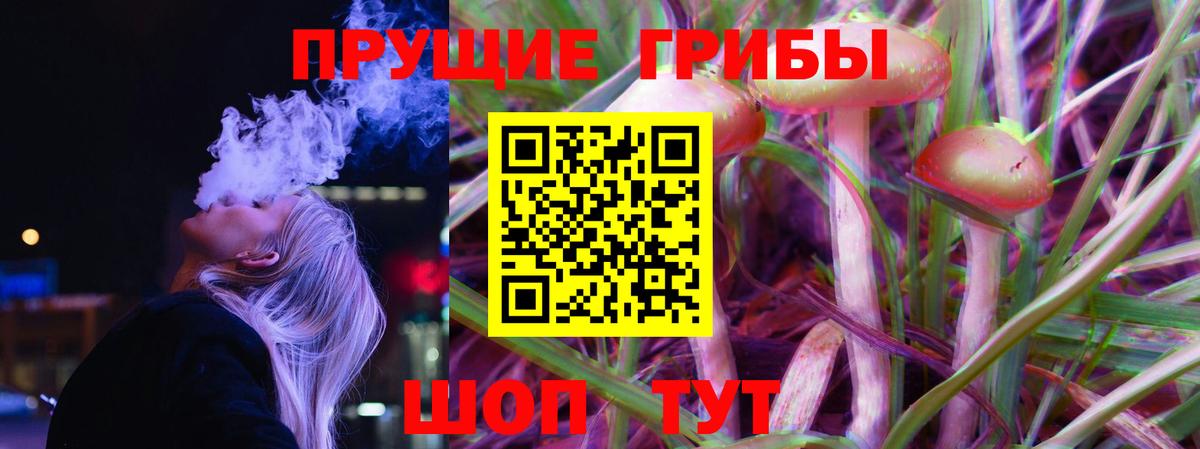 Галлюциногенные грибы мицелий Владикавказ