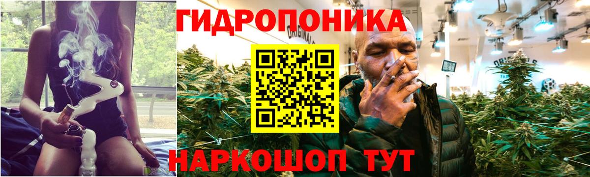 Канабис гибрид Владикавказ
